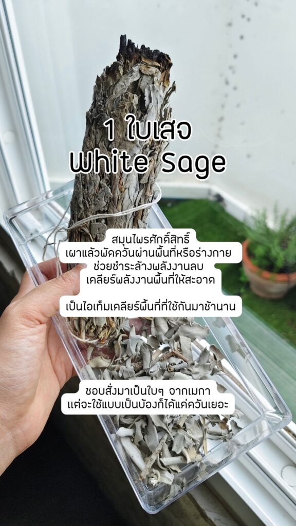 ไอเท็มสายพลังงาน ใบเสจ White Sage ชำระล้างพลังงาน