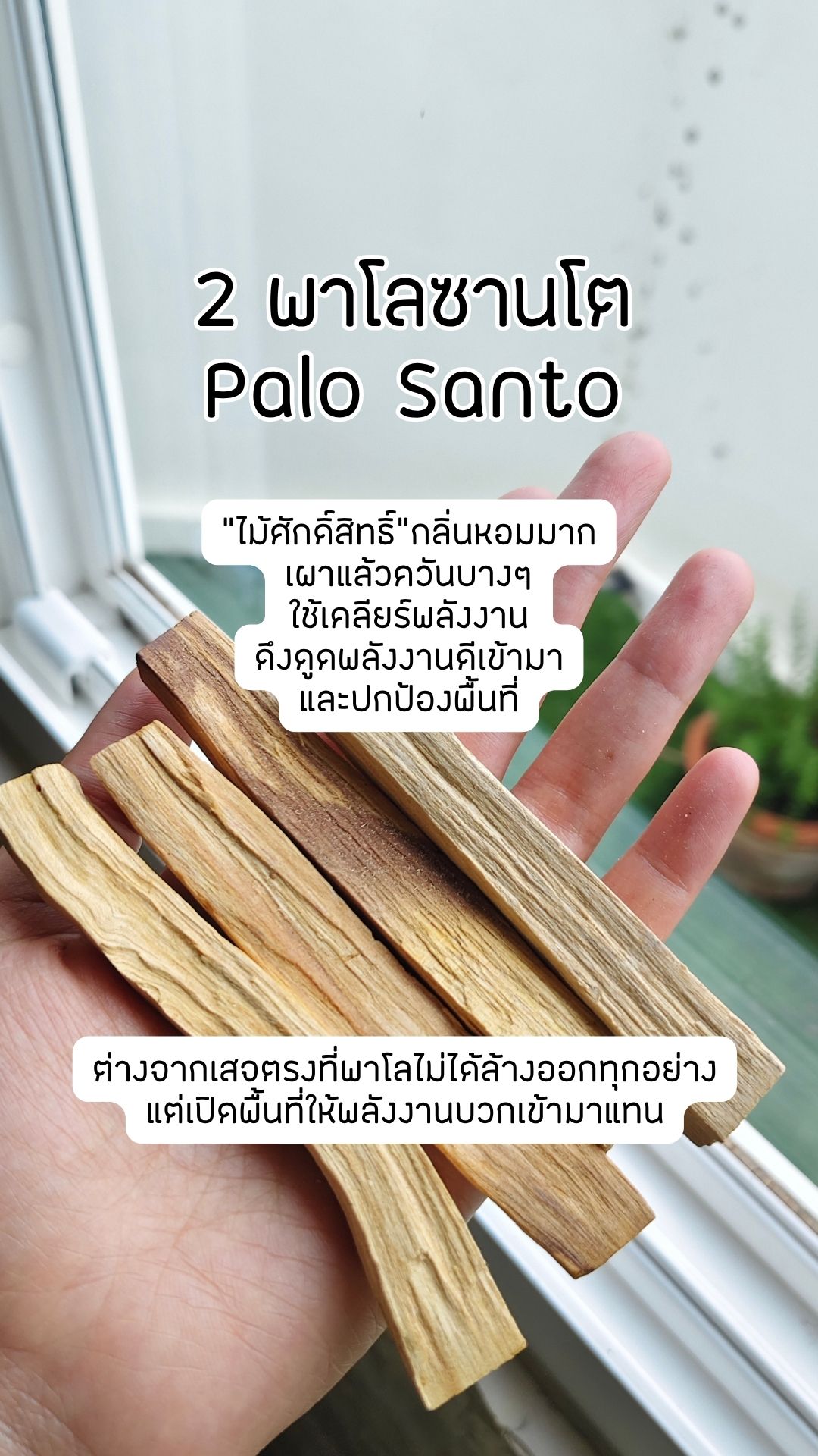 ไอเท็มสายพลังงาน พาโลซานโต Palo Santo