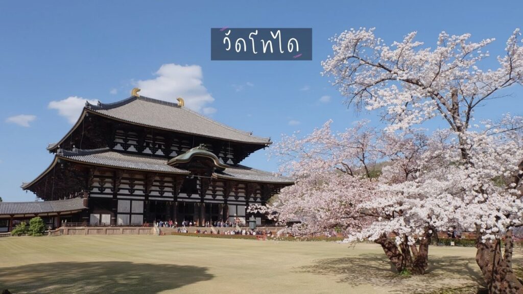 วัดโทไดจิ นาระ เครื่องรางญี่ปุ่น วัดหลวงพ่อโต