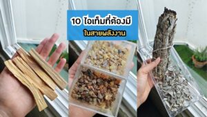 10 ไอเท็มที่ต้องมีในสายพลังงาน